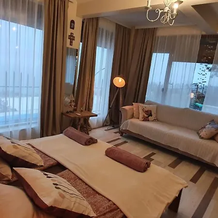 Sunny House Izgrev 别墅 巴尔奇克